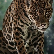 Схема вышивки «№941360»