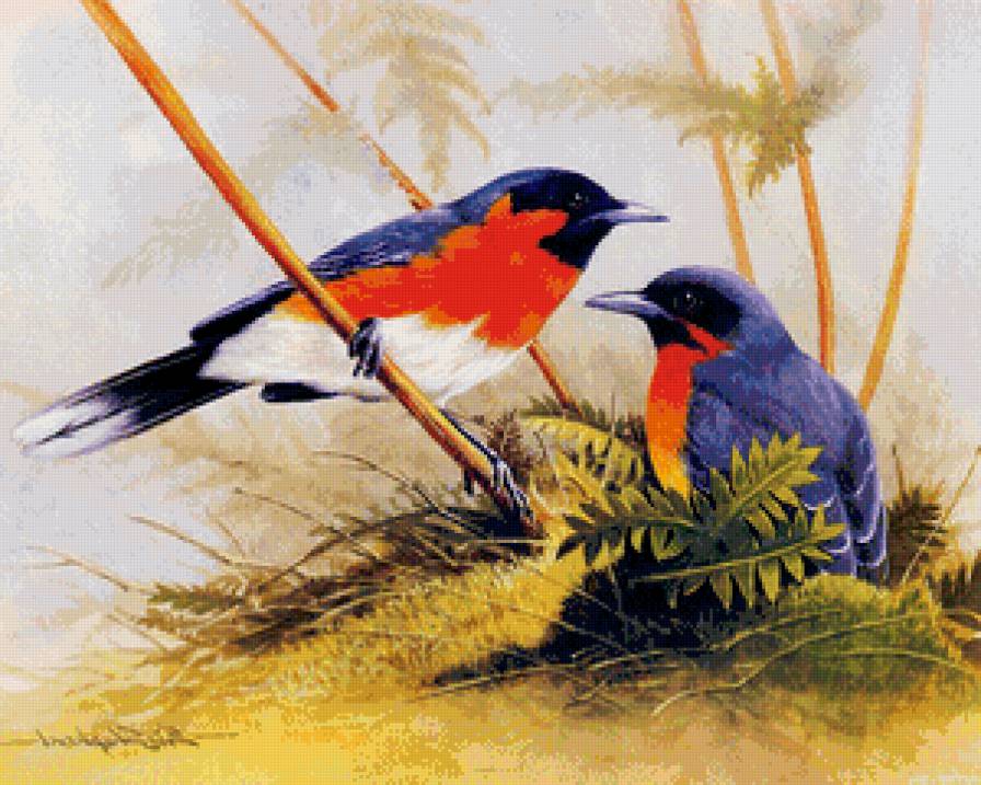 пара птиц - пара, семья, цветы, любовь, ветка, сад, птицы - предпросмотр