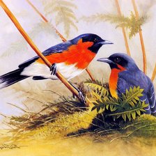 Схема вышивки «пара птиц»