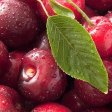 Схема вышивки «№941523»