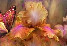 Схема вышивки «№941877»