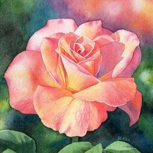 Схема вышивки «роза»