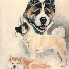 Схема вышивки «Собака»