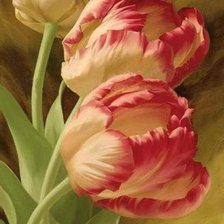 Схема вышивки «Тюльпаны»