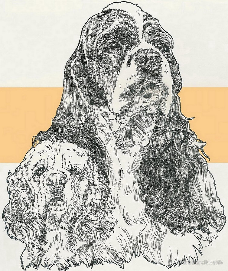 Спаниель - монохром, спаниель, собака, животные - оригинал