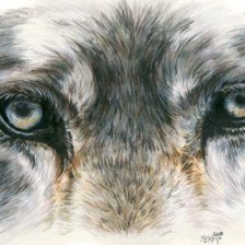 Схема вышивки «взгляд»