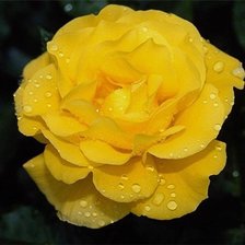 Схема вышивки «цветок»