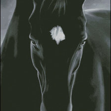 Схема вышивки «Azabache»