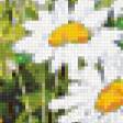 Предпросмотр схемы вышивки «ромашковое поле» (№942945)