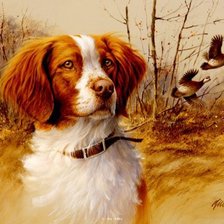 Схема вышивки «собака»