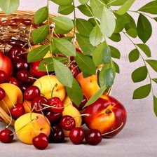 Схема вышивки «яблоки с вишней»