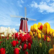 Схема вышивки «№943314»