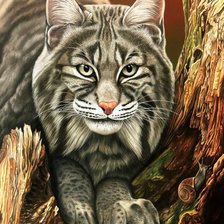 Схема вышивки «№943336»