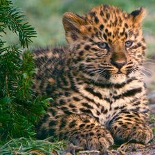 Схема вышивки «№943601»