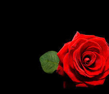 Схема вышивки «на черном»