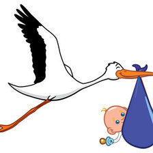 Схема вышивки «метрика»