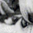 Предпросмотр схемы вышивки «черно-белое» (№944467)