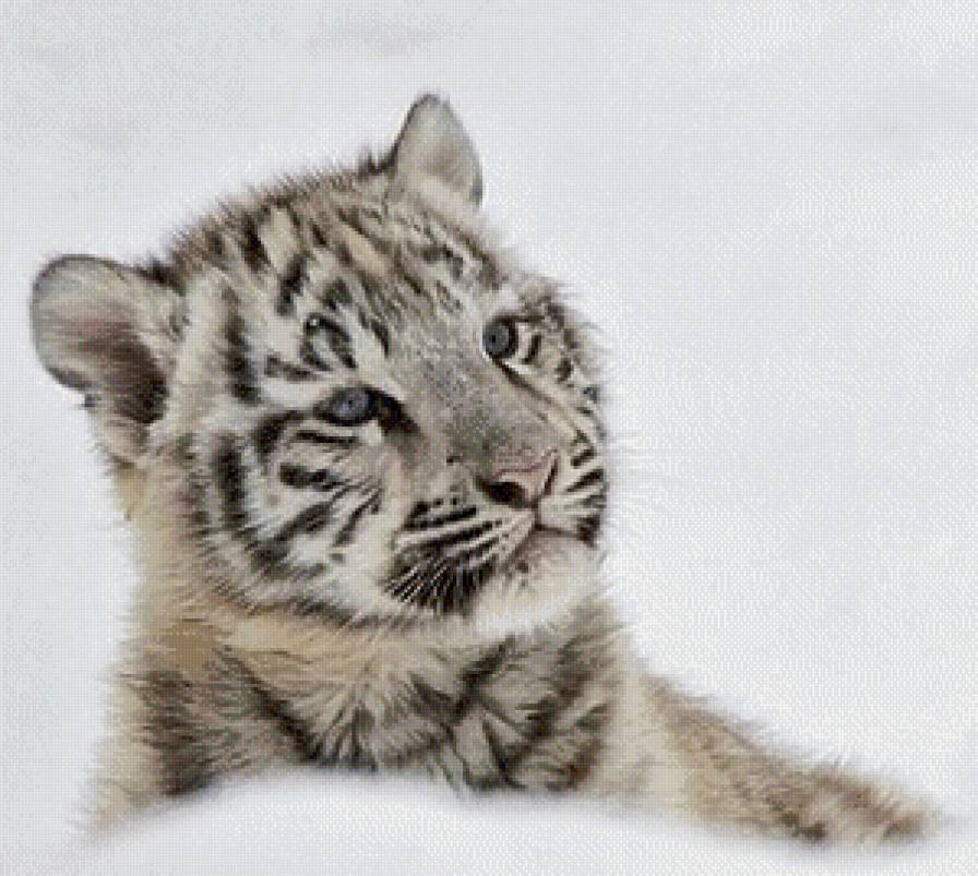 №944580 - малыш, полосатик, тигренок, зима, снег, хищник - предпросмотр