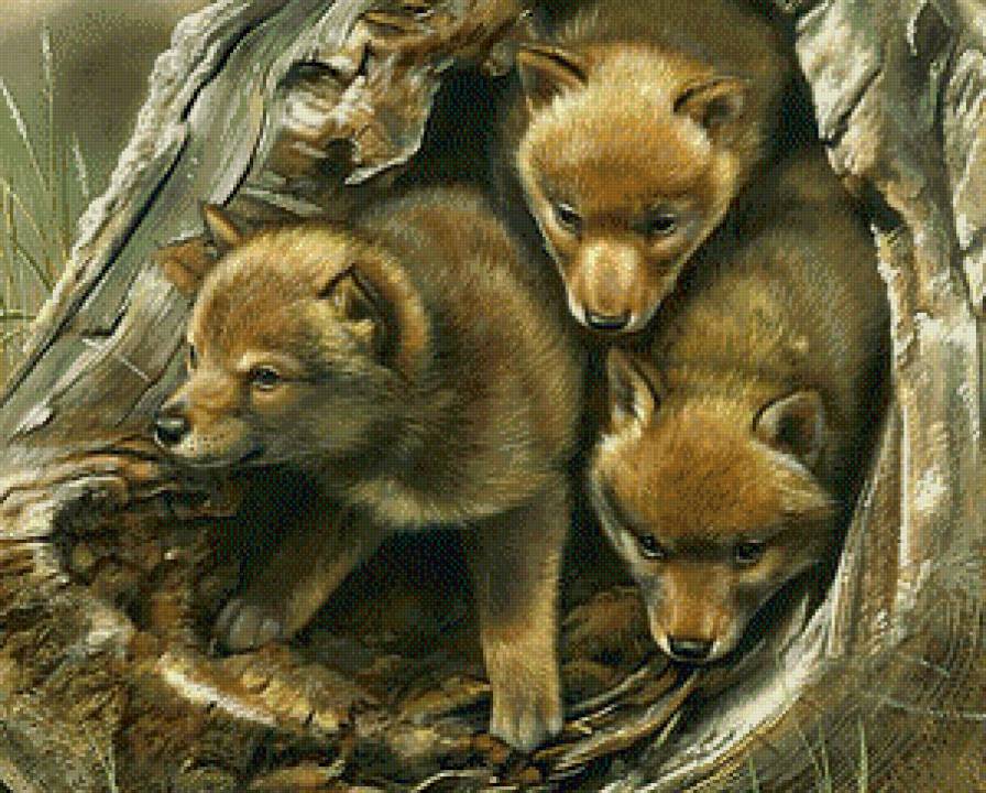 Серия "Дикая природа" - природа, лисята, хищники, нора, лес - предпросмотр