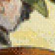 Предпросмотр схемы вышивки «цветі и миска с фруктами» (№944981)