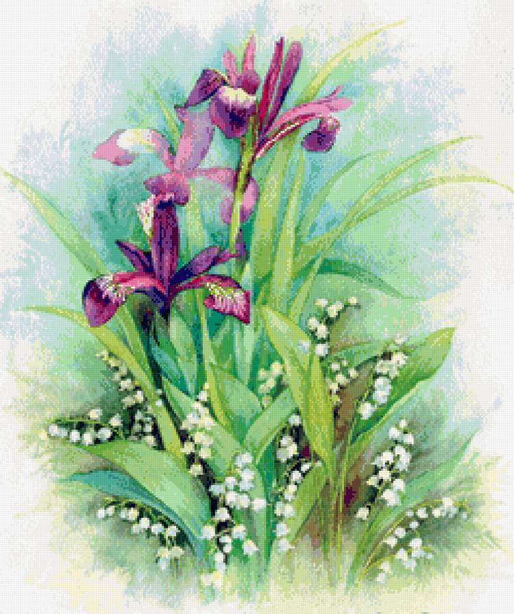 ирисы и ландыши - цветы, ландыши, ирисы, букет, акварель, весна - предпросмотр