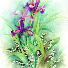 Схема вышивки «ирисы и ландыши»