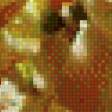 Предпросмотр схемы вышивки «Роса» (№945158)