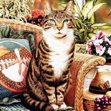 Схема вышивки «Красивая кошка»