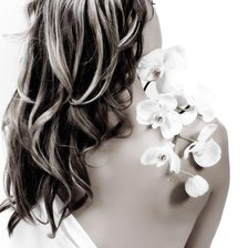 Схема вышивки «Нежность»