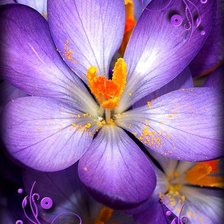 Схема вышивки «цветы»