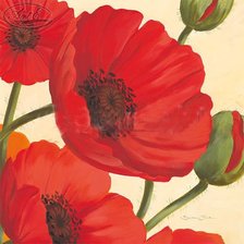 Схема вышивки «МАКИ5»