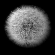 Схема вышивки «ОДУВАН 0»