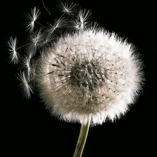 Схема вышивки «ТРИПТИХ 1»