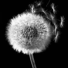 Схема вышивки «КАРТИНА1»