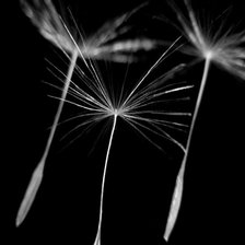 Схема вышивки «КАРТИНА 22»