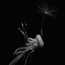 Схема вышивки «КАРТИНА 3»