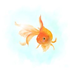 Схема вышивки «загадывай»