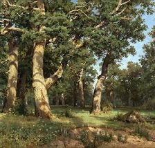 Схема вышивки «Дубовая роща»