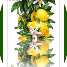 Схема вышивки «Серия "На кухню"»