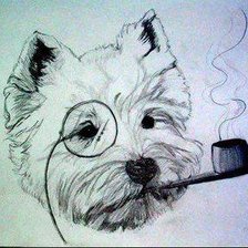 Схема вышивки «Вест хайленд вайт (уайт) терьер»