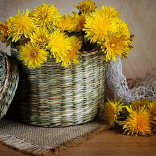 Схема вышивки «Одуванчики в лукошке»