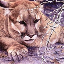 Схема вышивки «Пума»