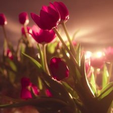 Схема вышивки «№946095»