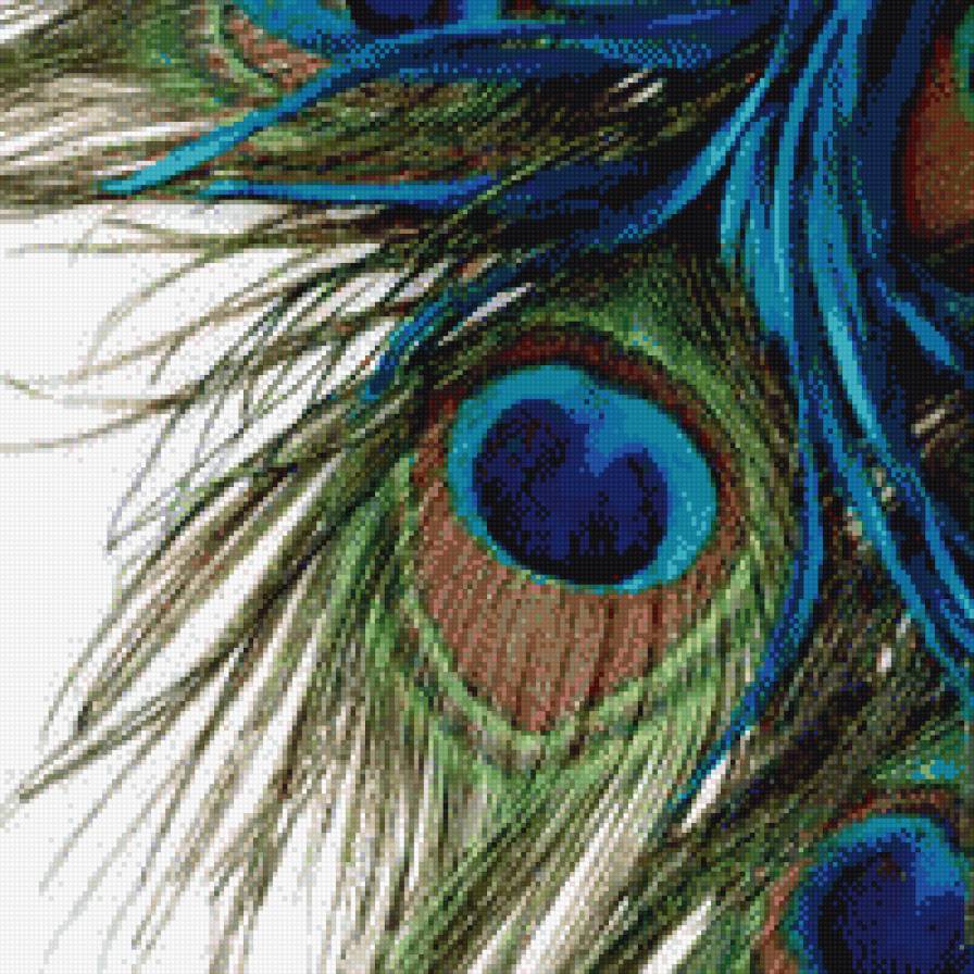 перо павлина - предпросмотр