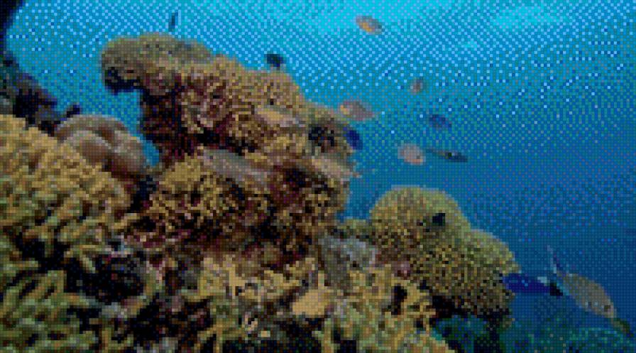 на дне морском - предпросмотр