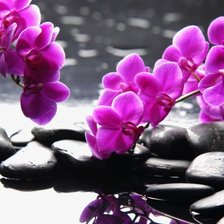 Схема вышивки «орхидеи»