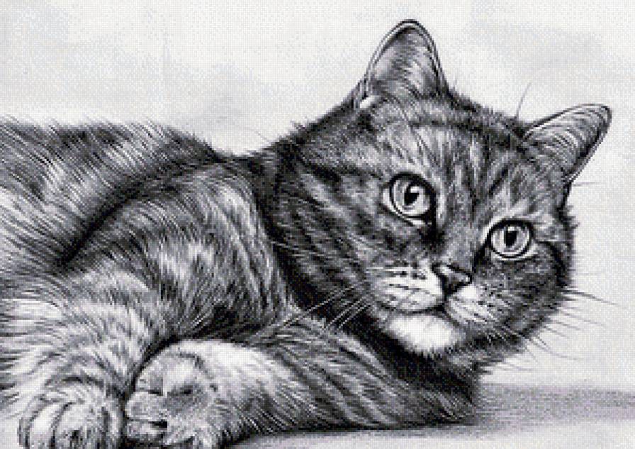 №946643 - отдых, котик, домашние животные - предпросмотр