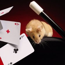 Схема вышивки «хомячек»