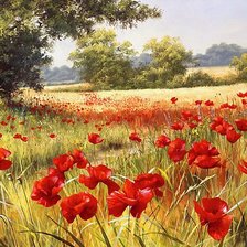 Схема вышивки «маковое поле»