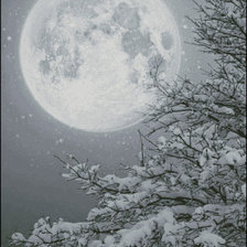 Схема вышивки «luna»